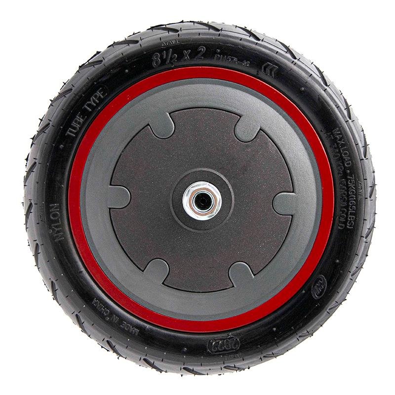 Motor 300 W. 6.1/B34 pentru XIAOMI [eWheel] - diverse culori