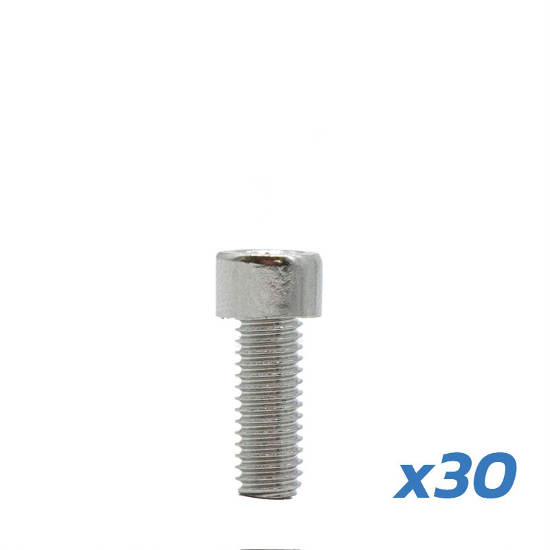 Șurub apărătoare de noroi Dualtron 30 buc